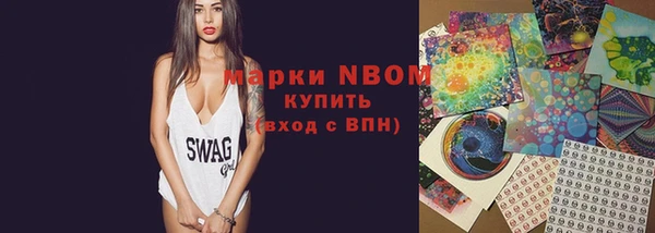ПСИЛОЦИБИНОВЫЕ ГРИБЫ Арсеньев