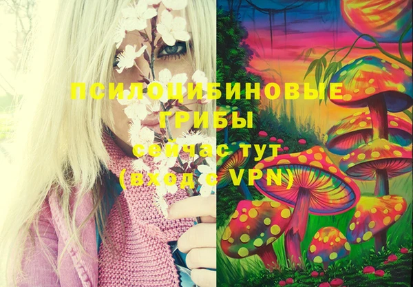 стафф Богородицк