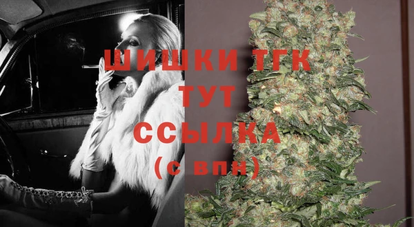 ПСИЛОЦИБИНОВЫЕ ГРИБЫ Арсеньев