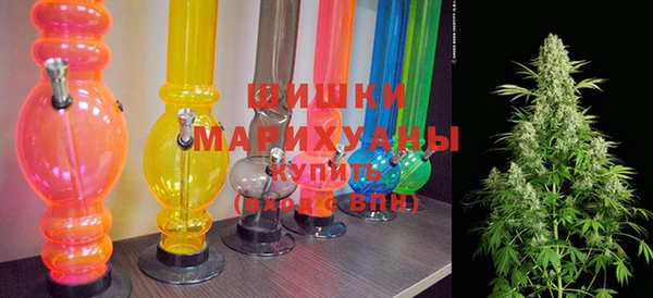 ПСИЛОЦИБИНОВЫЕ ГРИБЫ Арсеньев