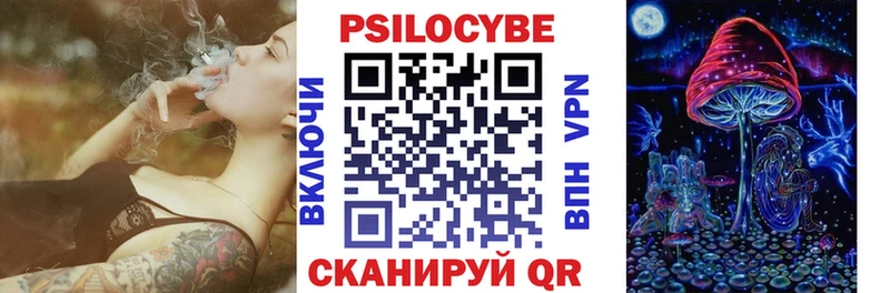 Псилоцибиновые грибы Cubensis Пятигорск