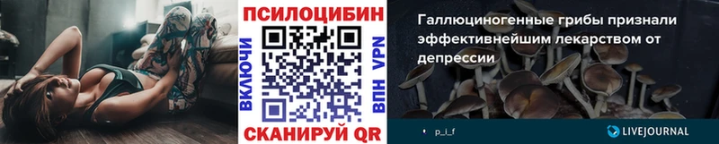 Псилоцибиновые грибы мухоморы  магазин продажи   Пятигорск 