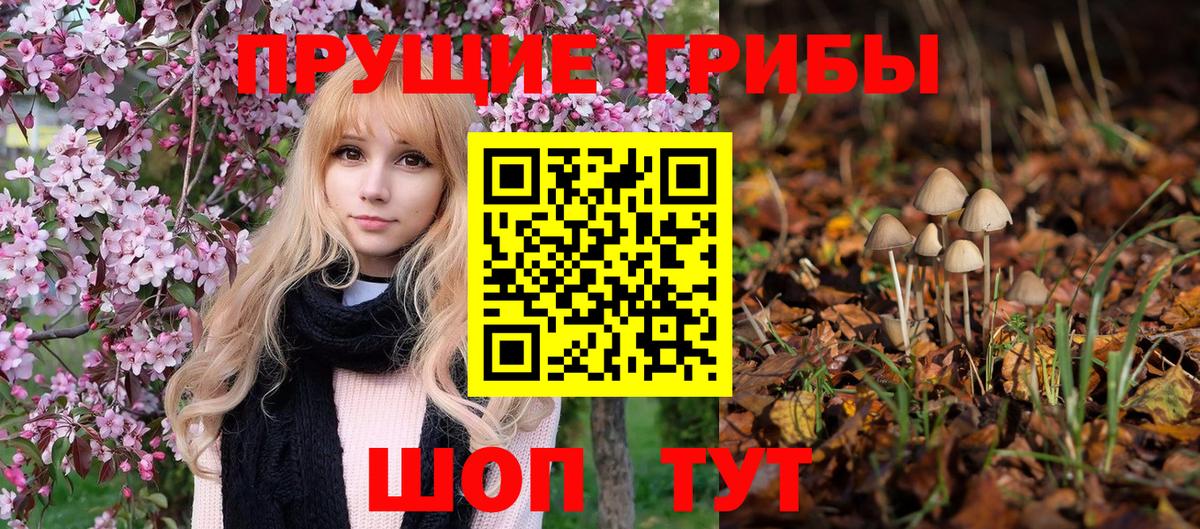 Пятигорск  где можно купить наркотик  Вход с VPN  Галлюциногенные грибы Magic Shrooms 